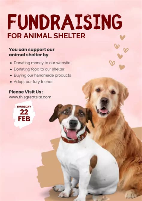 fundraising ideas for animal shelters